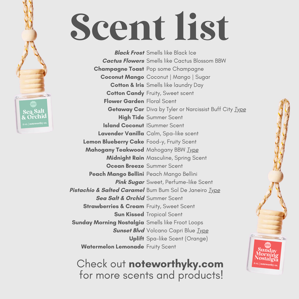 Car Diffusers | Spring & Summer Scents: Getaway Car