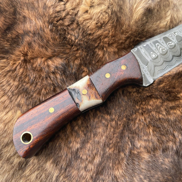 Damascus Steel Skinner Knife with Rosewood & Stag Grip