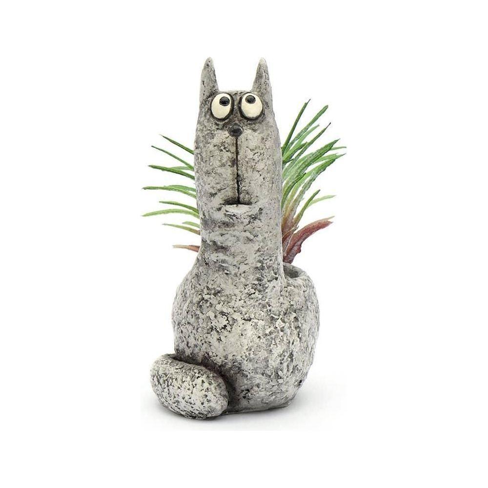 Baby Winston Mini Planter