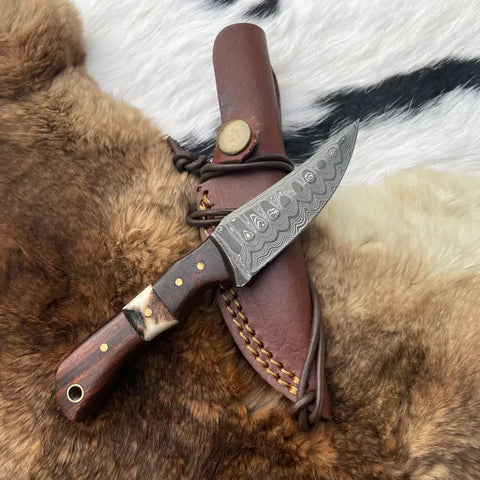 Titan Damascus Steel Skinner Knife with Rosewood & Stag Grip