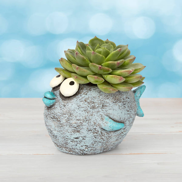 Bubbles Fish Planter