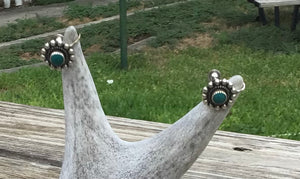 Sterling Silver Turquoise Screw Back Earrings