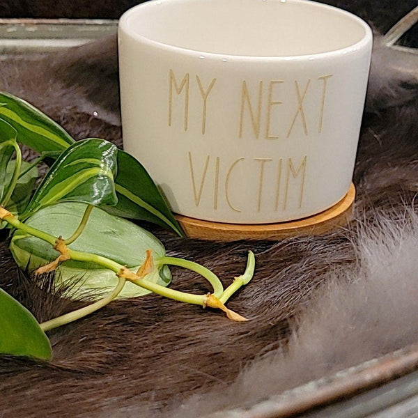 My Next Victim Funny Succulent Pot-Vinyl in Beige