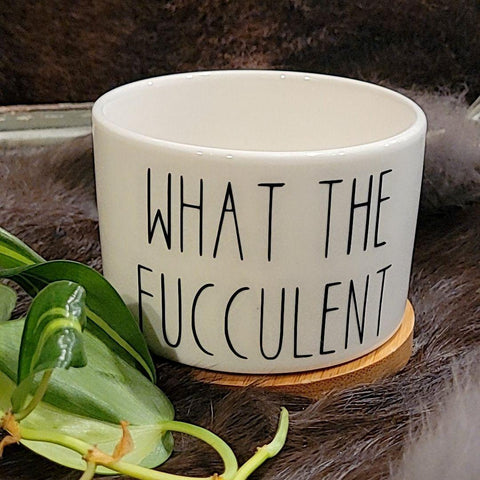 Funny Succulent Pots - White Ceramic Plant Pot: What The Fucculent
