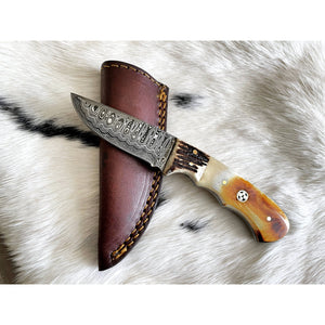 Damascus Steel Burnt bone & Walnut Hunting Knife